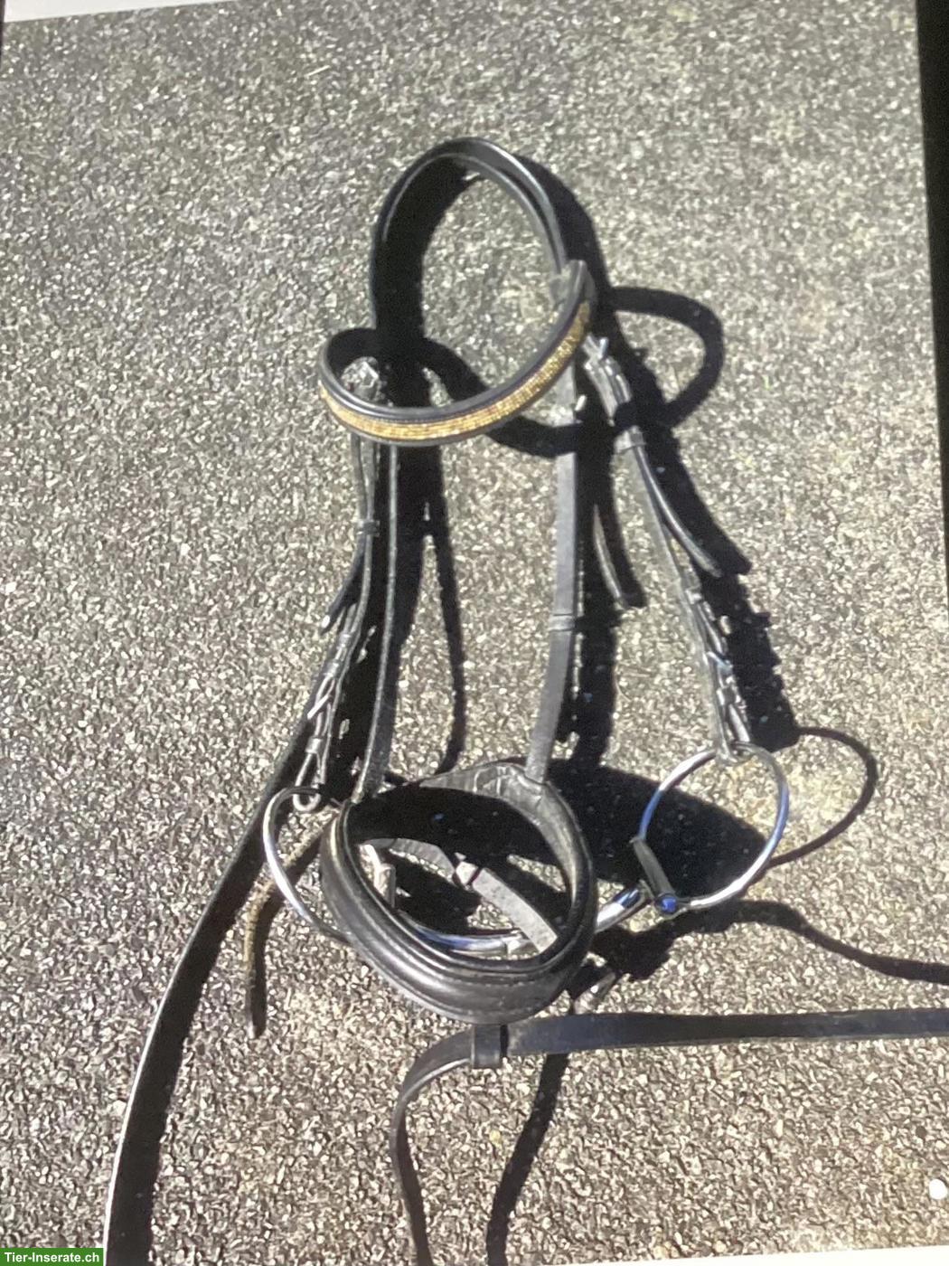 Bild 2: Pferdezäume mit Zügeln zu verkaufen