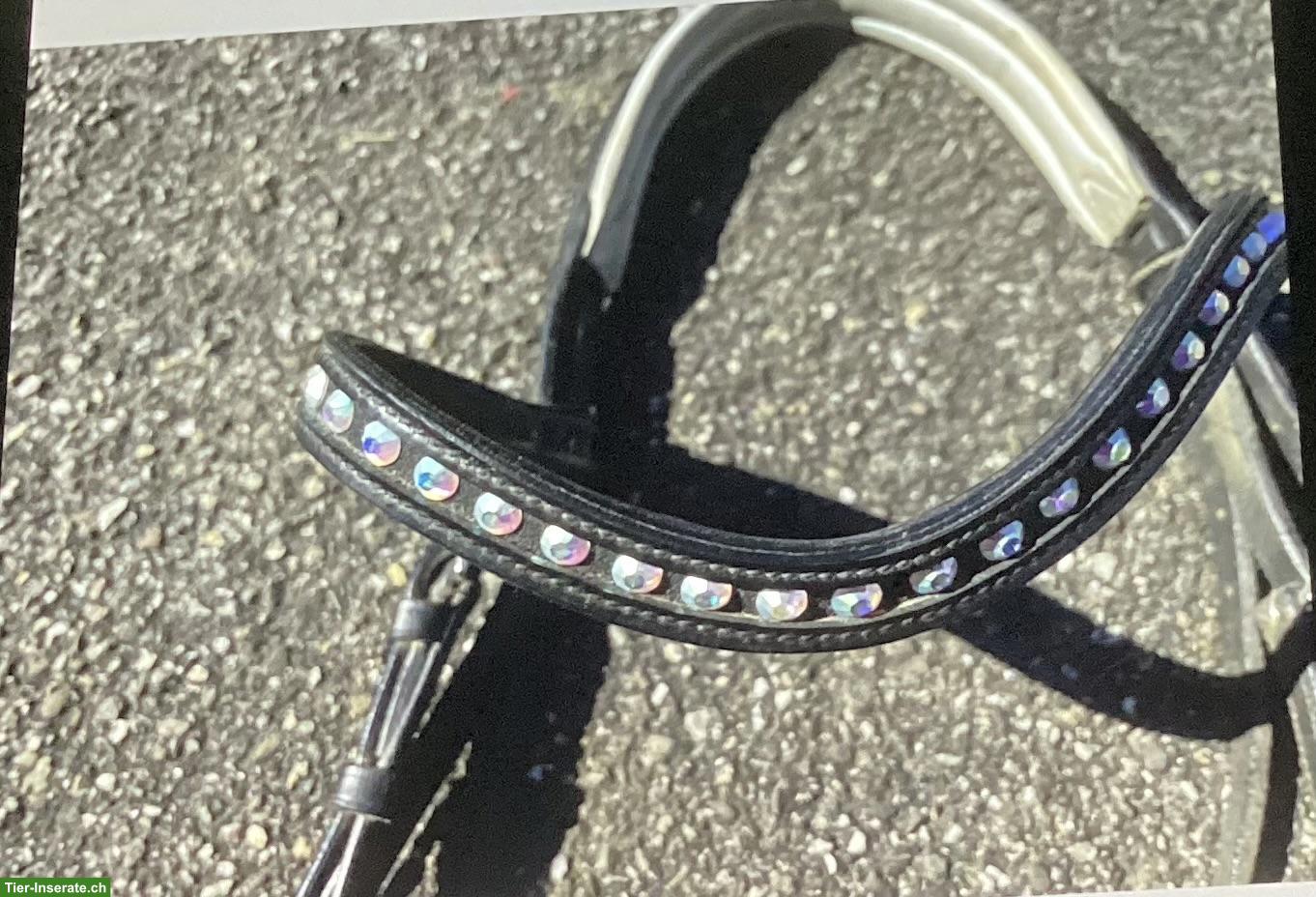Bild 5: Pferdezäume mit Zügeln zu verkaufen