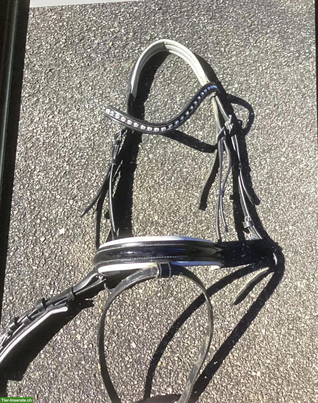 Bild 6: Pferdezäume mit Zügeln zu verkaufen