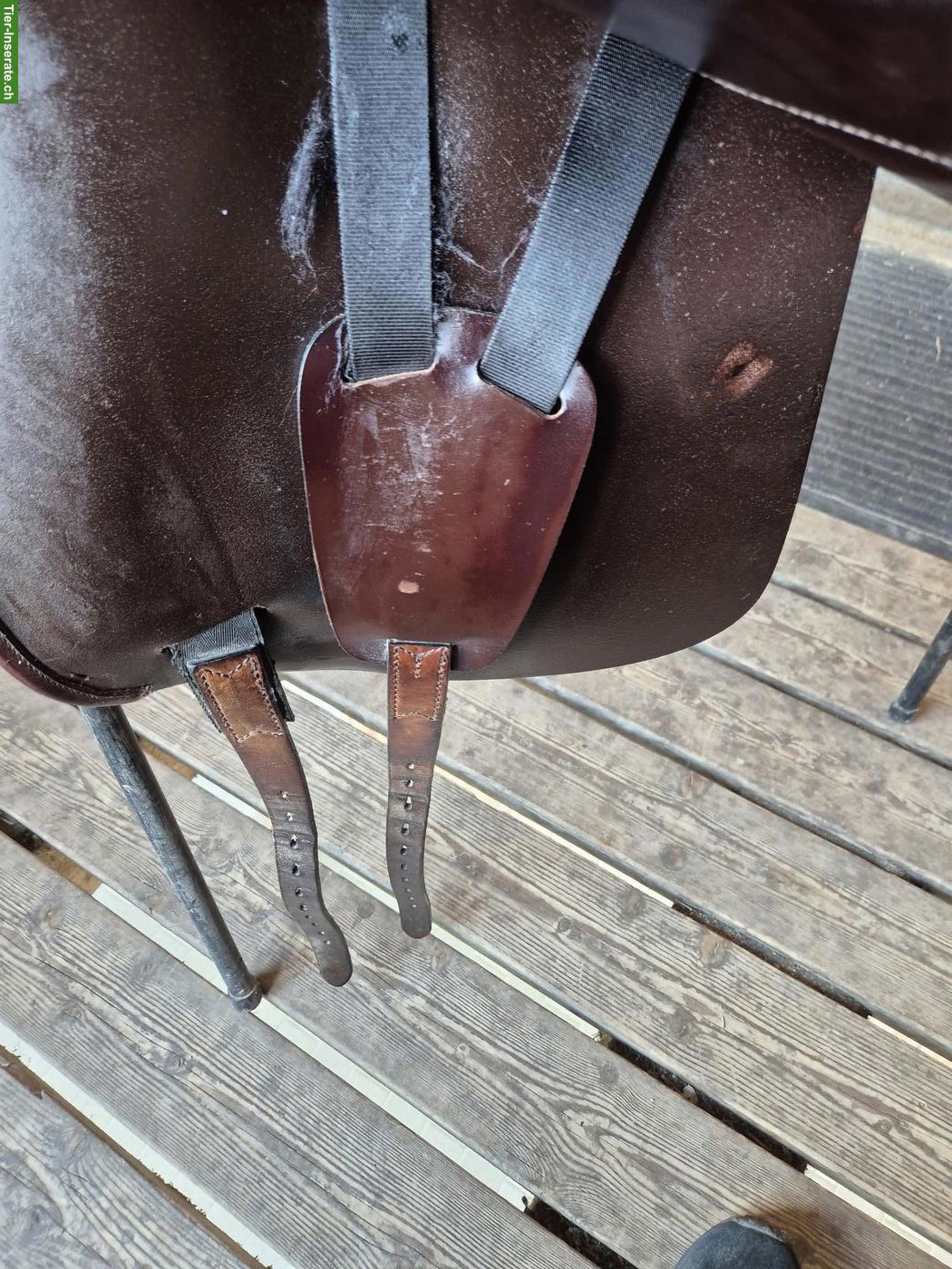 Bild 3: Mass-Dressursattel Vega Amerigo zu verkaufen