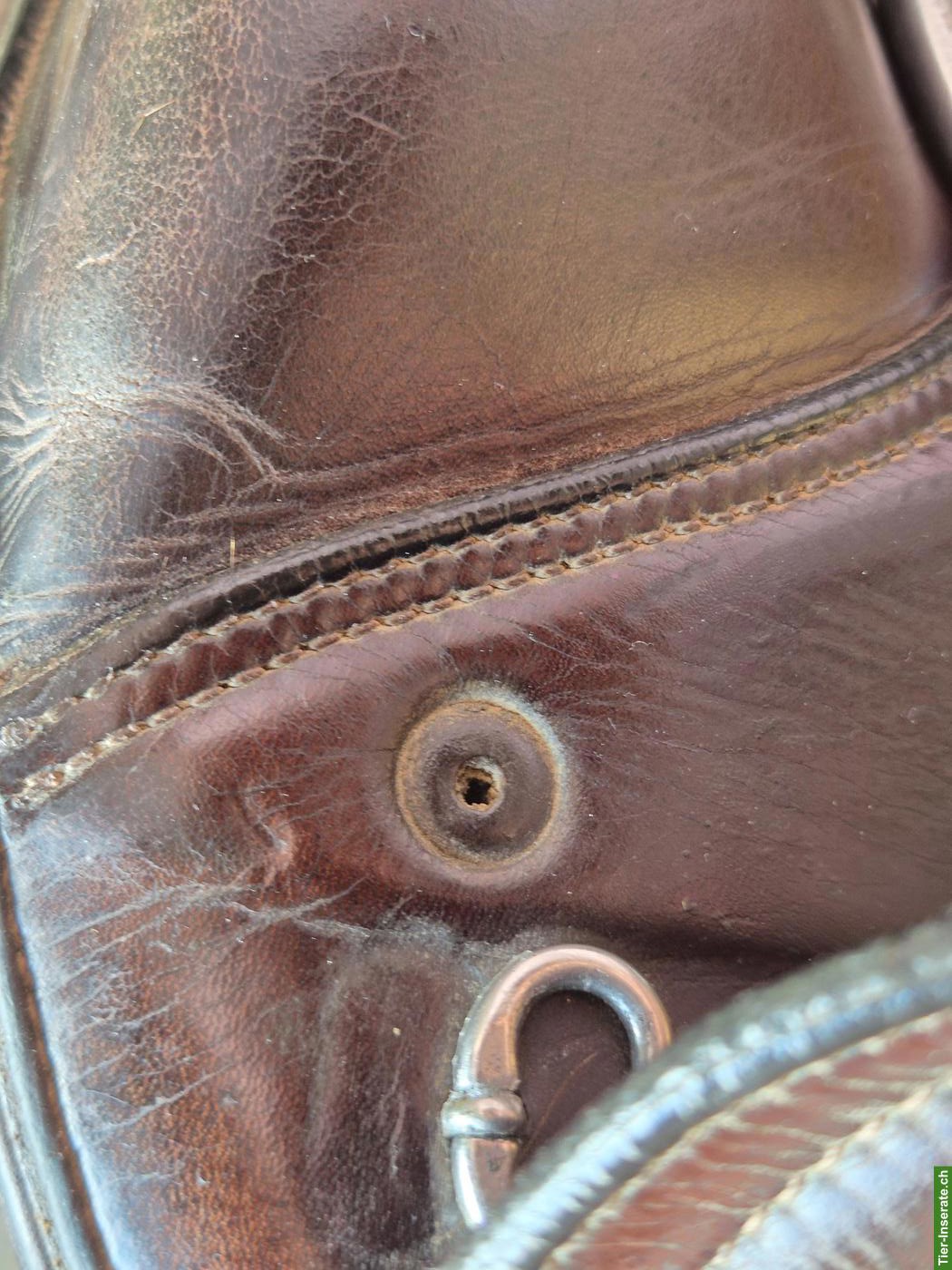 Bild 5: Mass-Dressursattel Vega Amerigo zu verkaufen