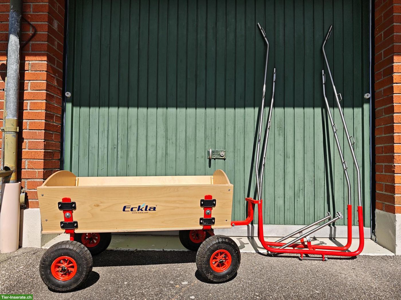 Bollerwagen für Minishetty / Miniesel und Shetty / Zwergesel