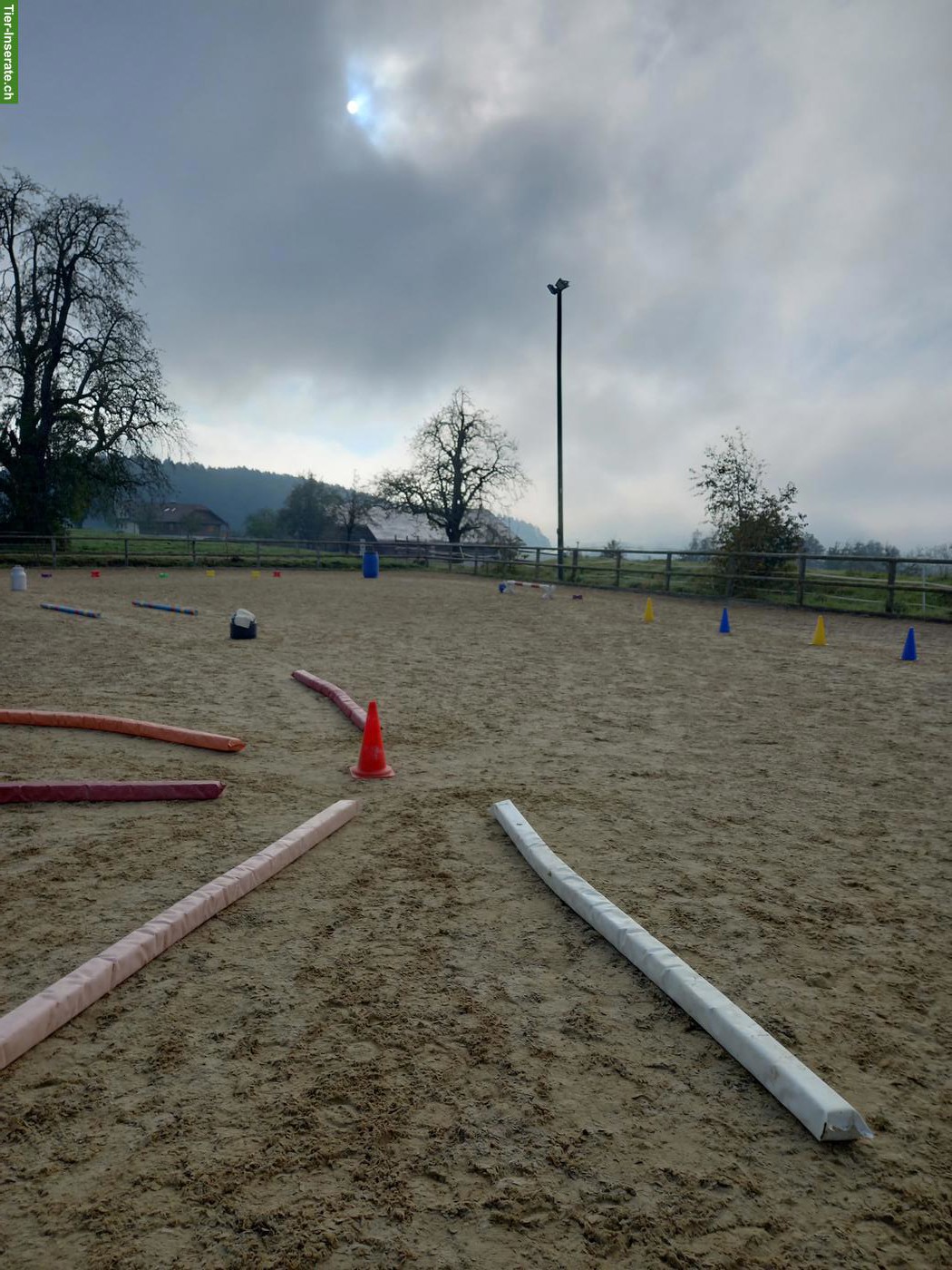 Bild 3: Bieten Zwischenjahr auf Bauernhof mit Pferden