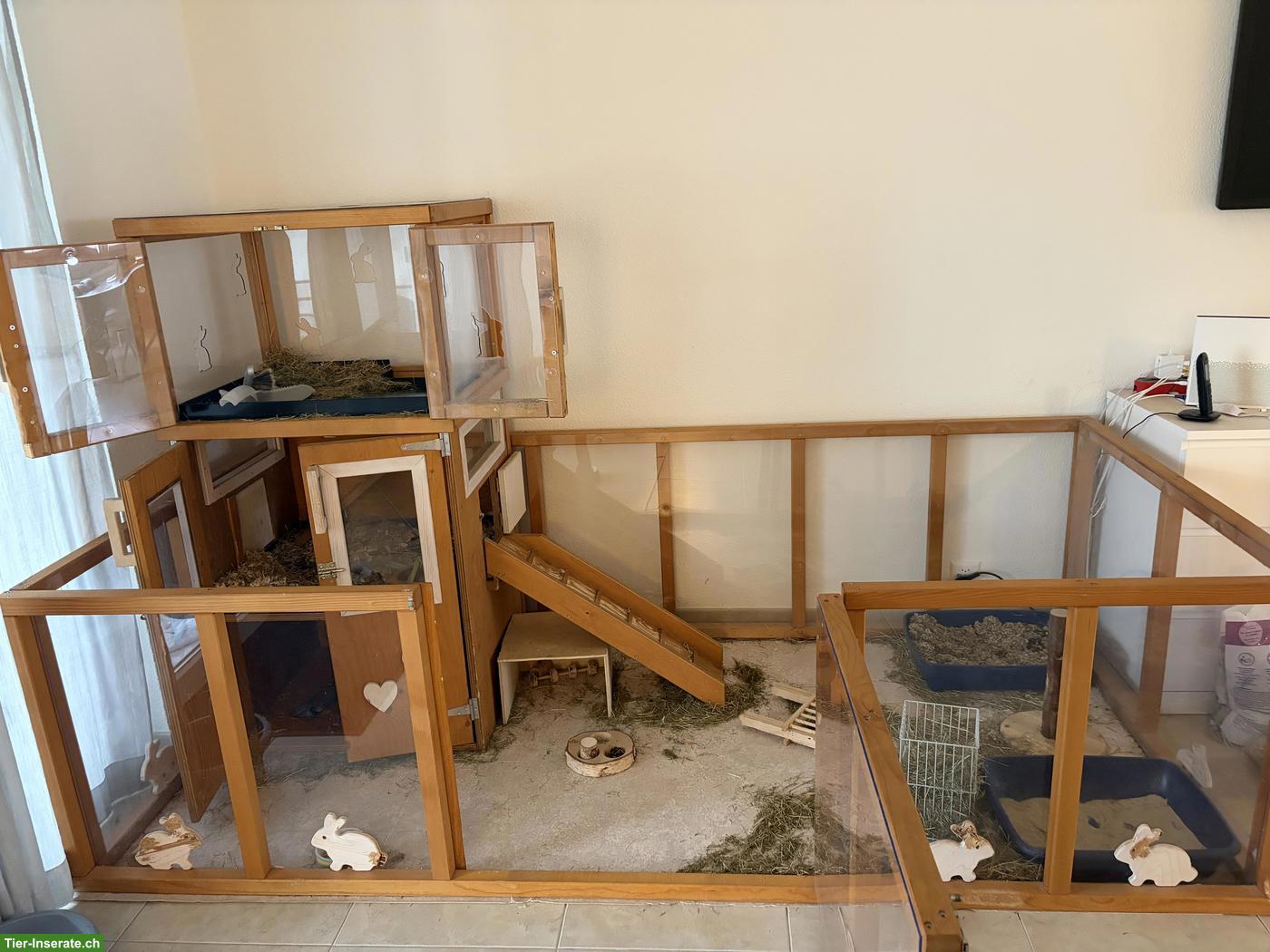 Bild 3: Grosses Kaninchengehege für Innen zu verkaufen