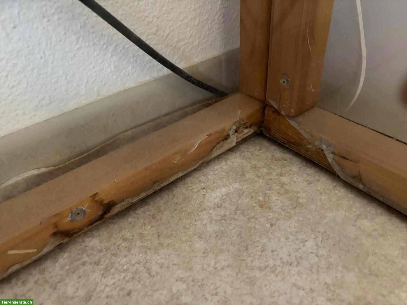 Bild 4: Grosses Kaninchengehege für Innen zu verkaufen