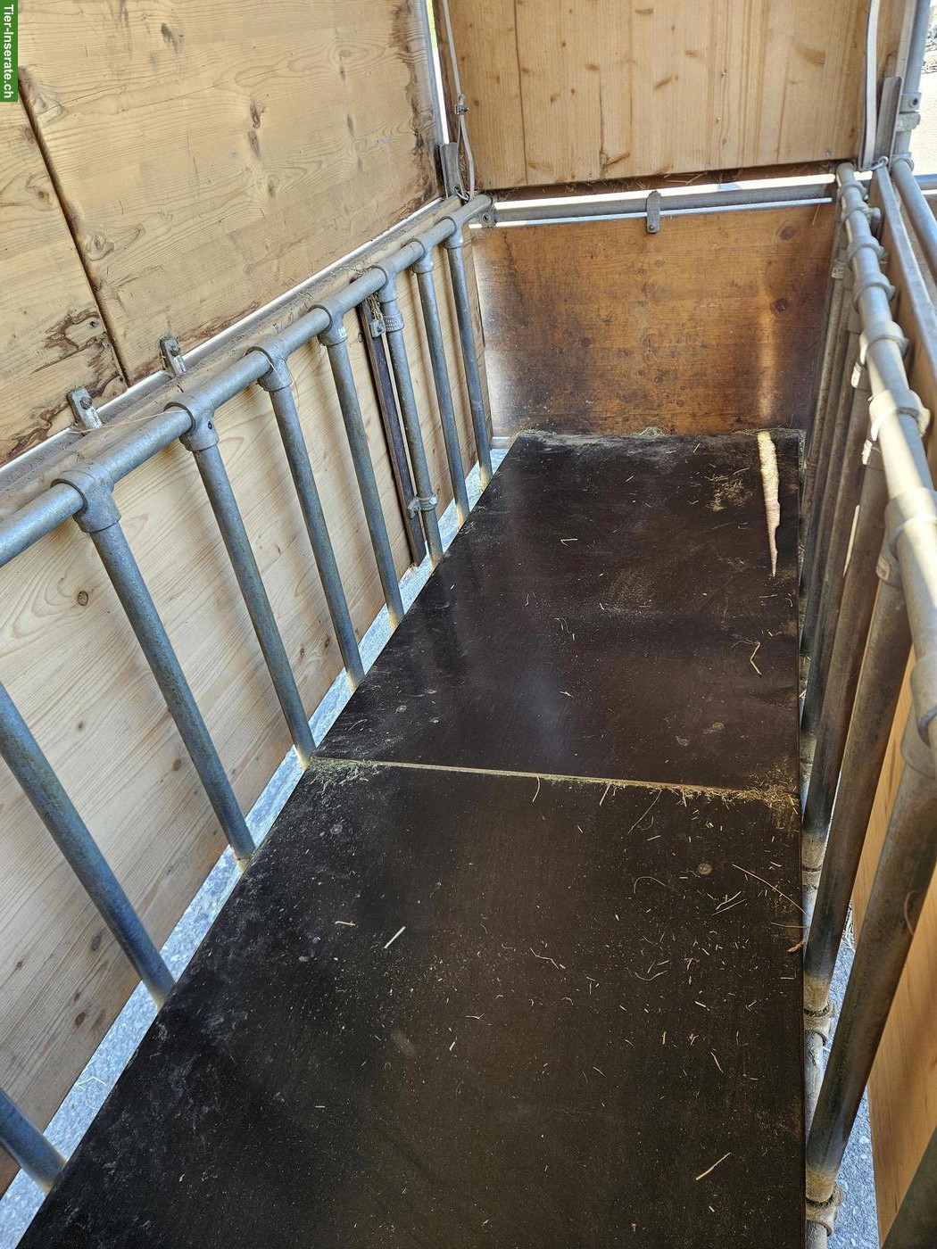 Bild 3: Zeitgesteuerte Futterraufe für Pferde zu verkaufen