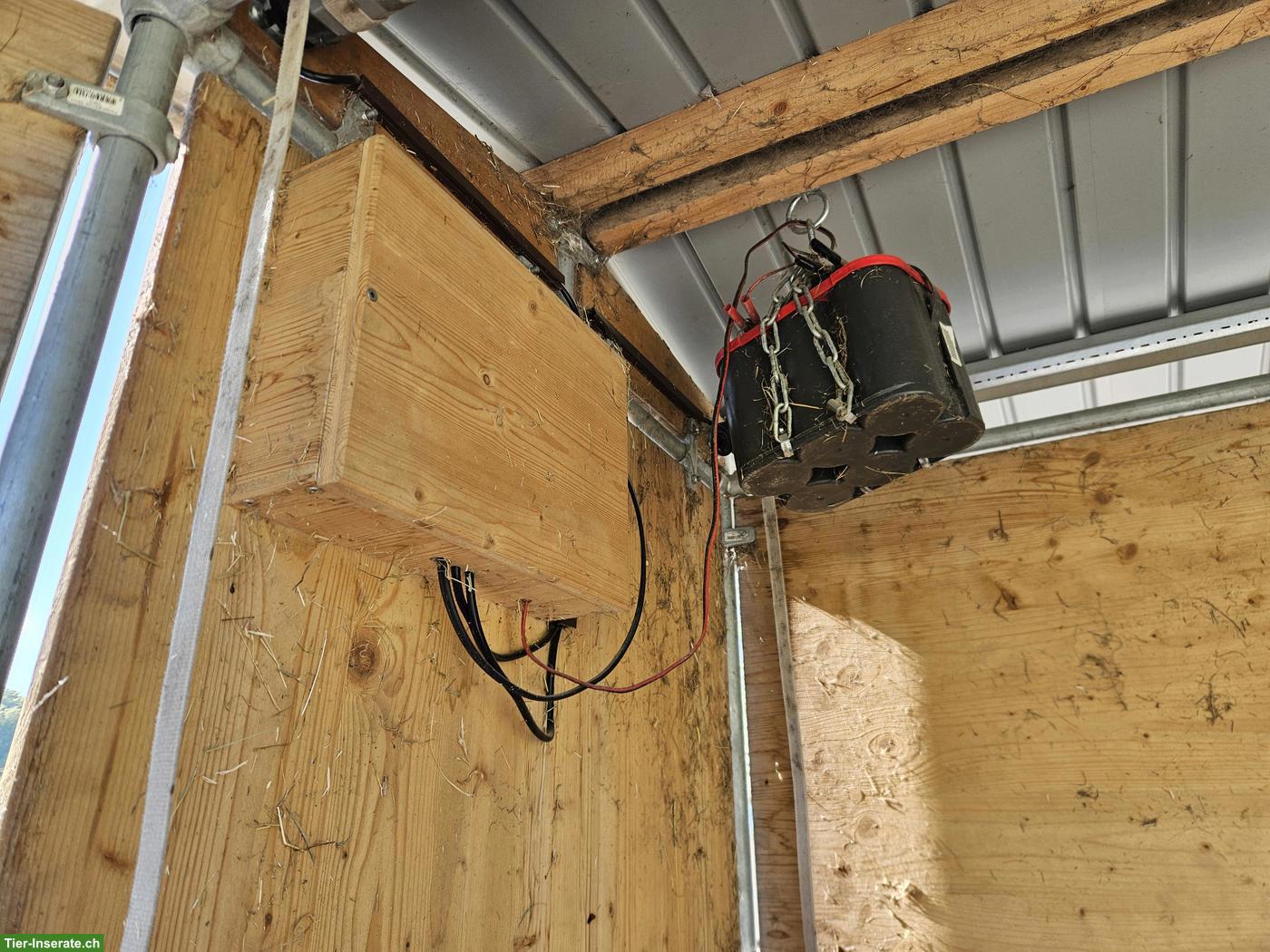 Bild 4: Zeitgesteuerte Futterraufe für Pferde zu verkaufen