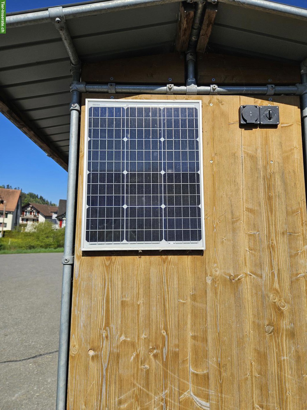 Bild 5: Zeitgesteuerte Futterraufe für Pferde zu verkaufen