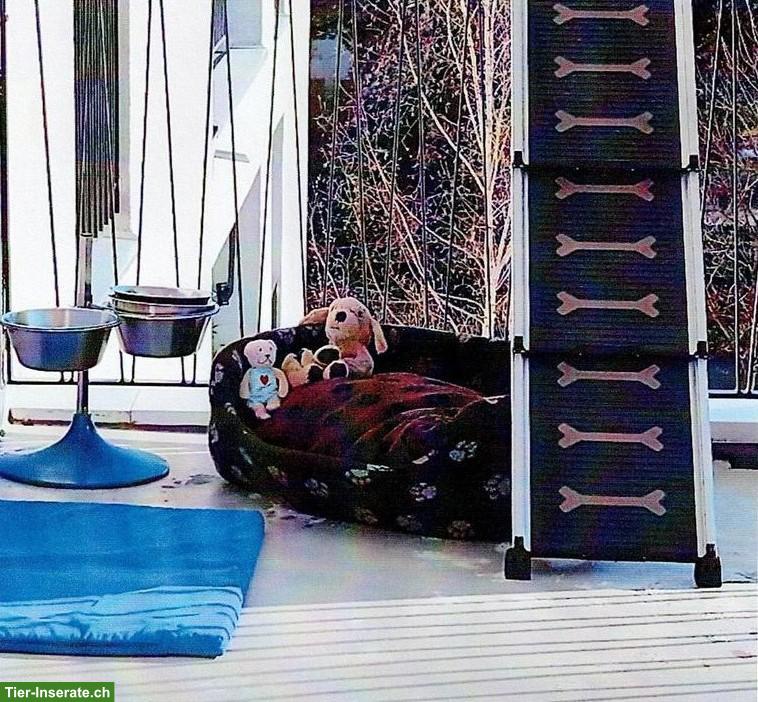 Hunderampe und Hundezubehör Set, neuwertig