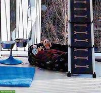 Hunderampe und Hundezubehör Set, neuwertig