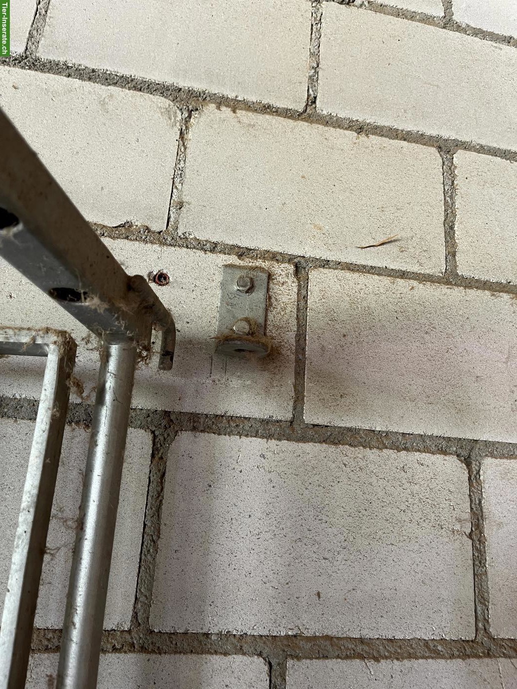 Bild 2: Occasion Heuraufe für Pferde (Eck- oder Wandheuraufe)