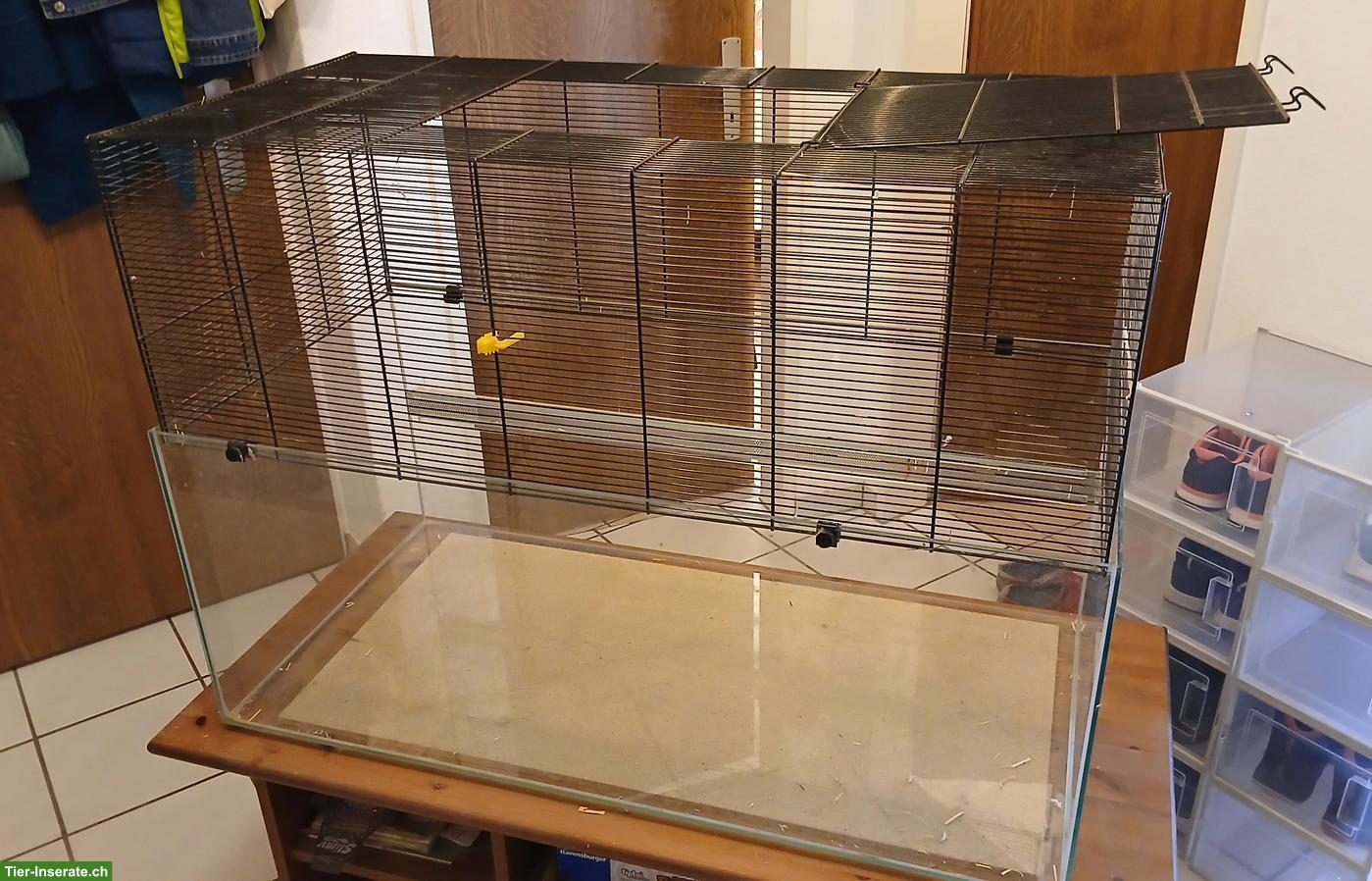 Bild 2: Rennmaus-Terrarium mit Gitteraufsatz mit Zubehör