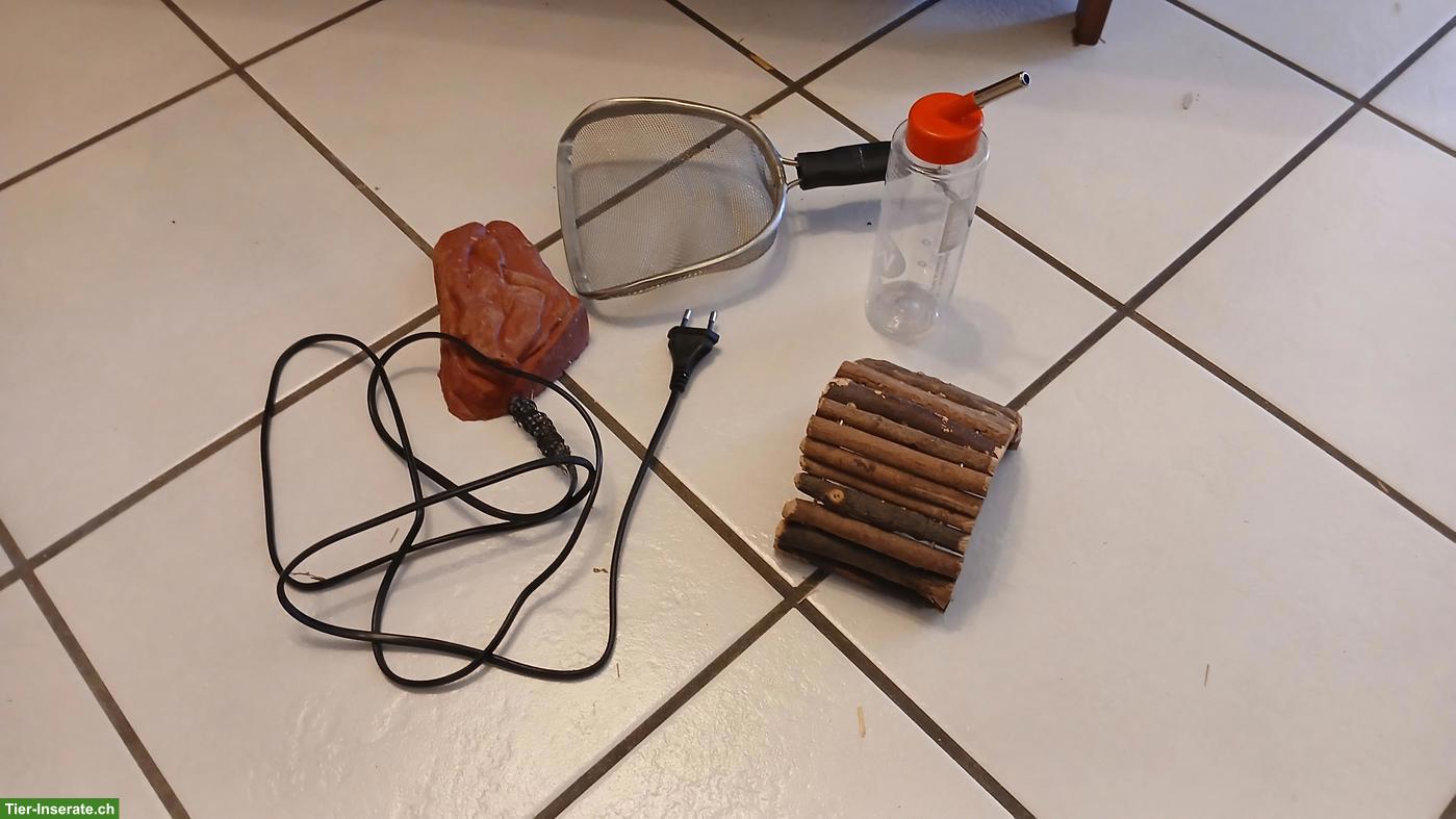 Bild 3: Rennmaus-Terrarium mit Gitteraufsatz mit Zubehör