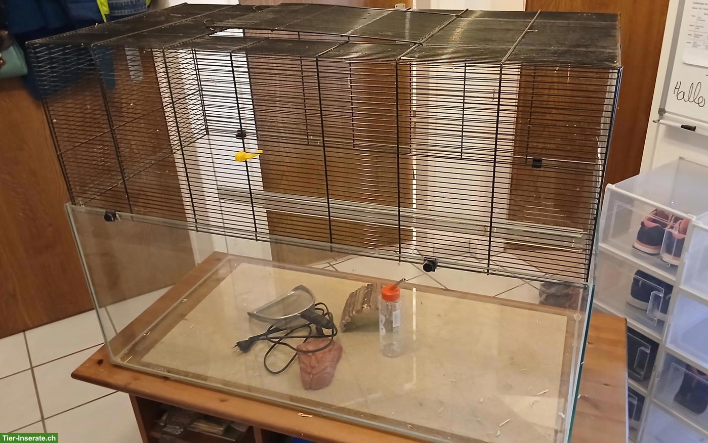 Bild 4: Rennmaus-Terrarium mit Gitteraufsatz mit Zubehör