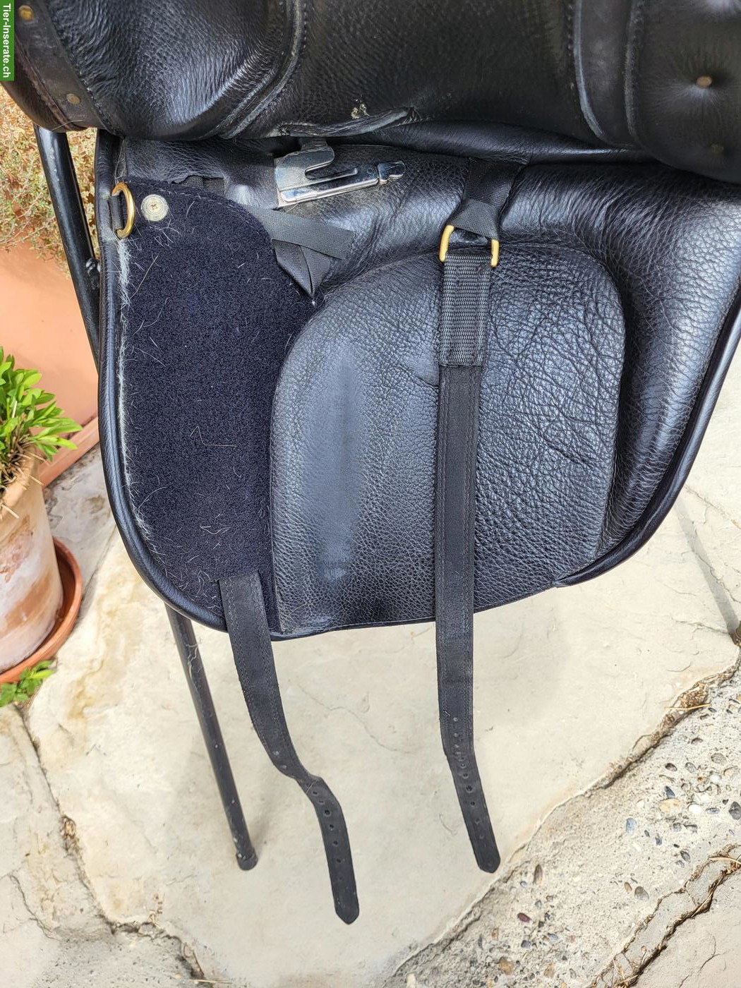 Bild 5: Deuber Sattel El Campo, Shorty, S2, neuwertig