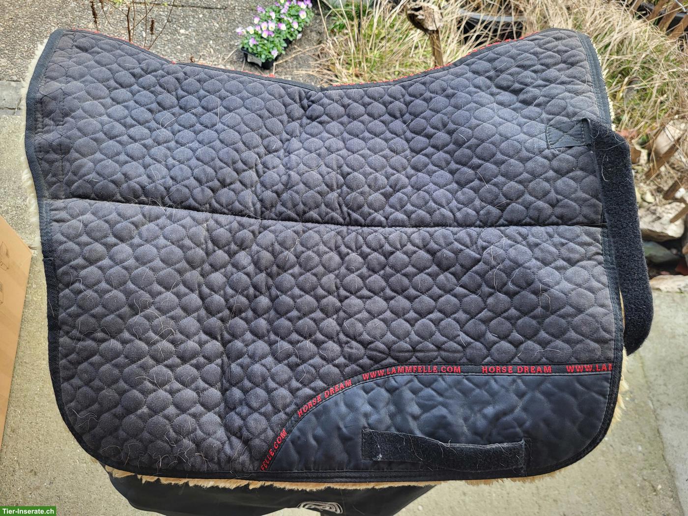 Bild 9: Deuber Sattel El Campo, Shorty, S2, neuwertig