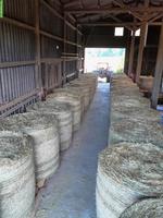 Emd Rundballen zu verkaufen