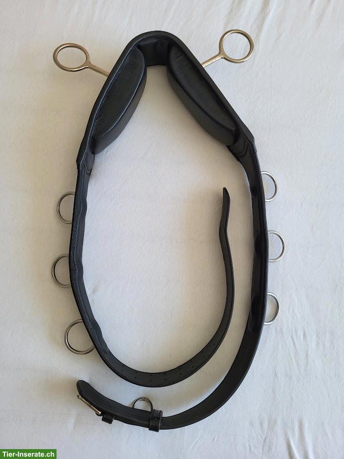 Karlslund Longiergurt für Isländer zu verkaufen