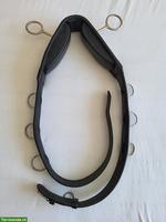 Karlslund Longiergurt für Isländer zu verkaufen