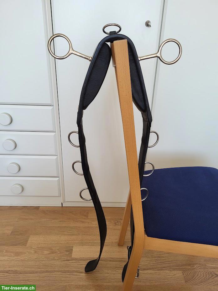 Bild 3: Karlslund Longiergurt für Isländer zu verkaufen