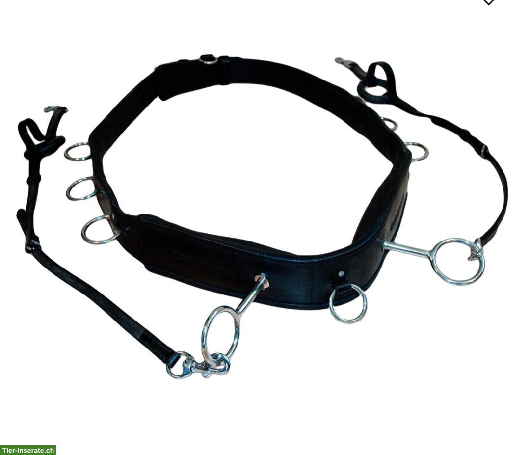 Bild 4: Karlslund Longiergurt für Isländer zu verkaufen