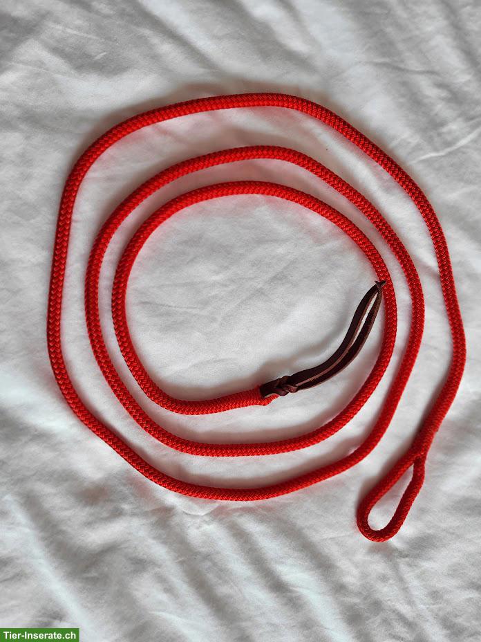 Bild 3: Parelli Carrot Stick für Kinder zu verkaufen