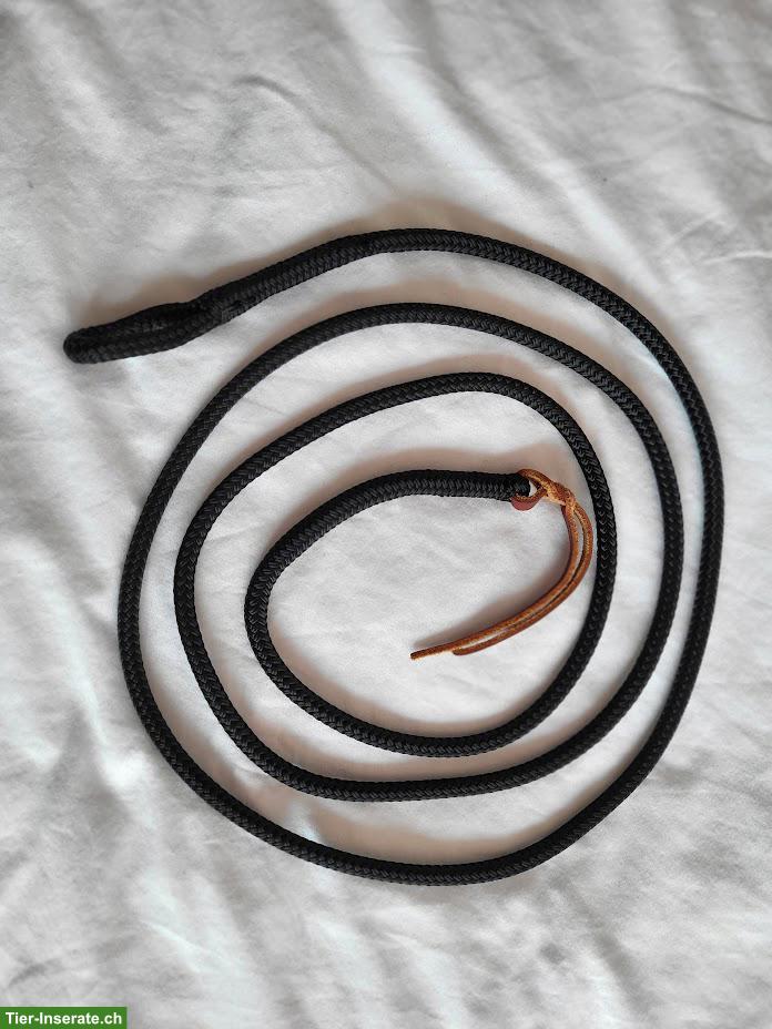 Bild 4: Parelli Carrot Stick für Kinder zu verkaufen