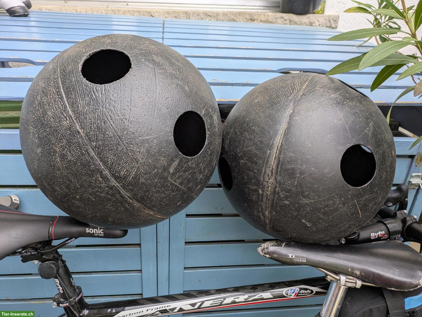 Raufutterball für Pferde zu verkaufen