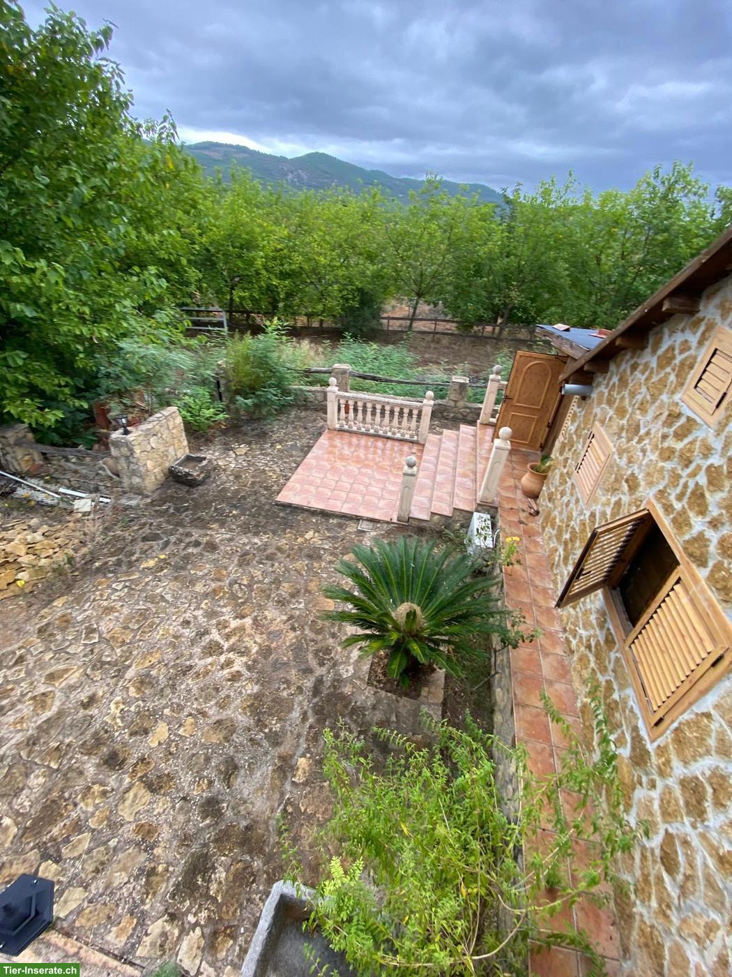 Verkauf: Haus mit 11000 qm Grundstück in Spanien