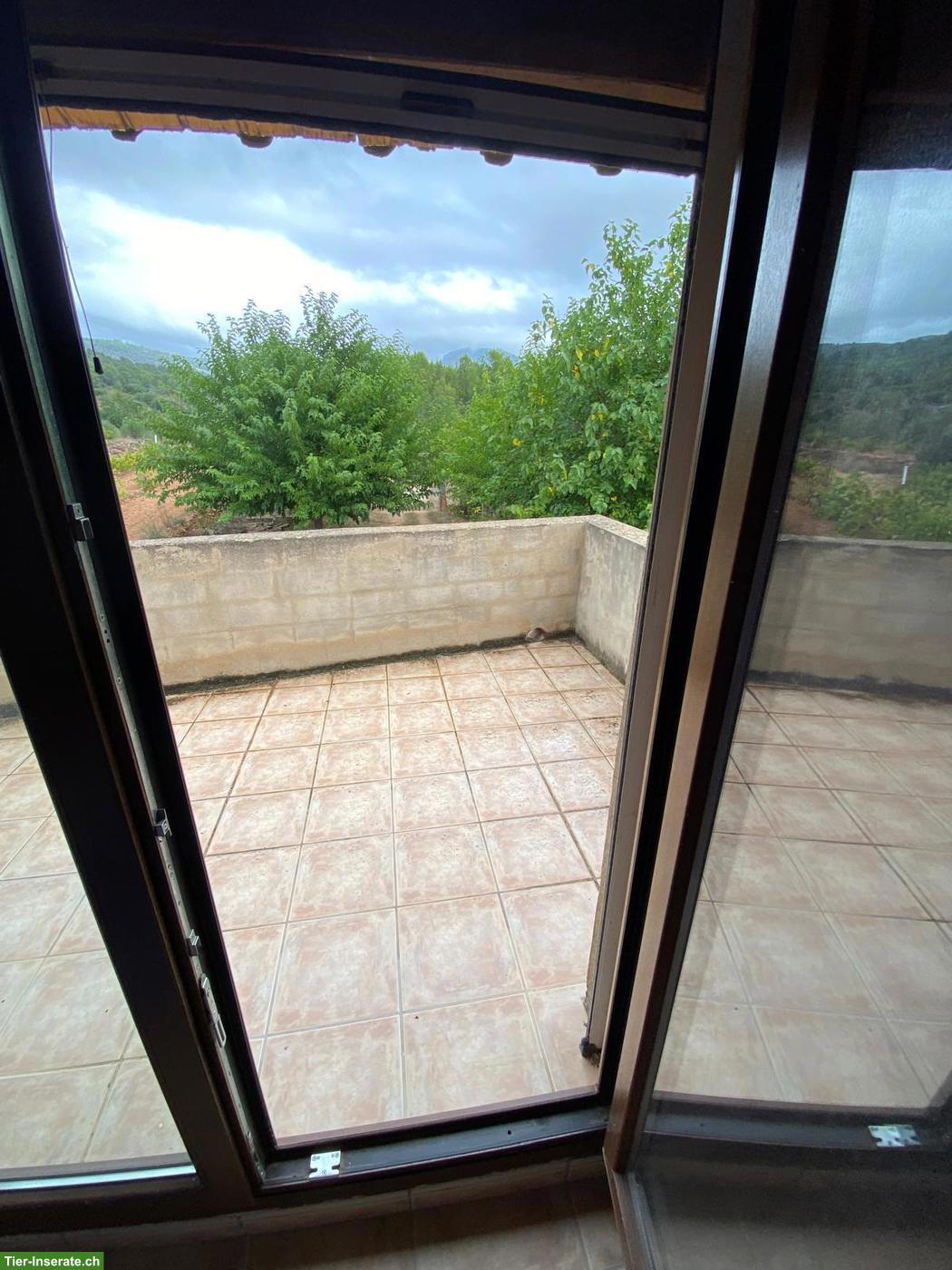 Bild 3: Verkauf: Haus mit 11000 qm Grundstück in Spanien