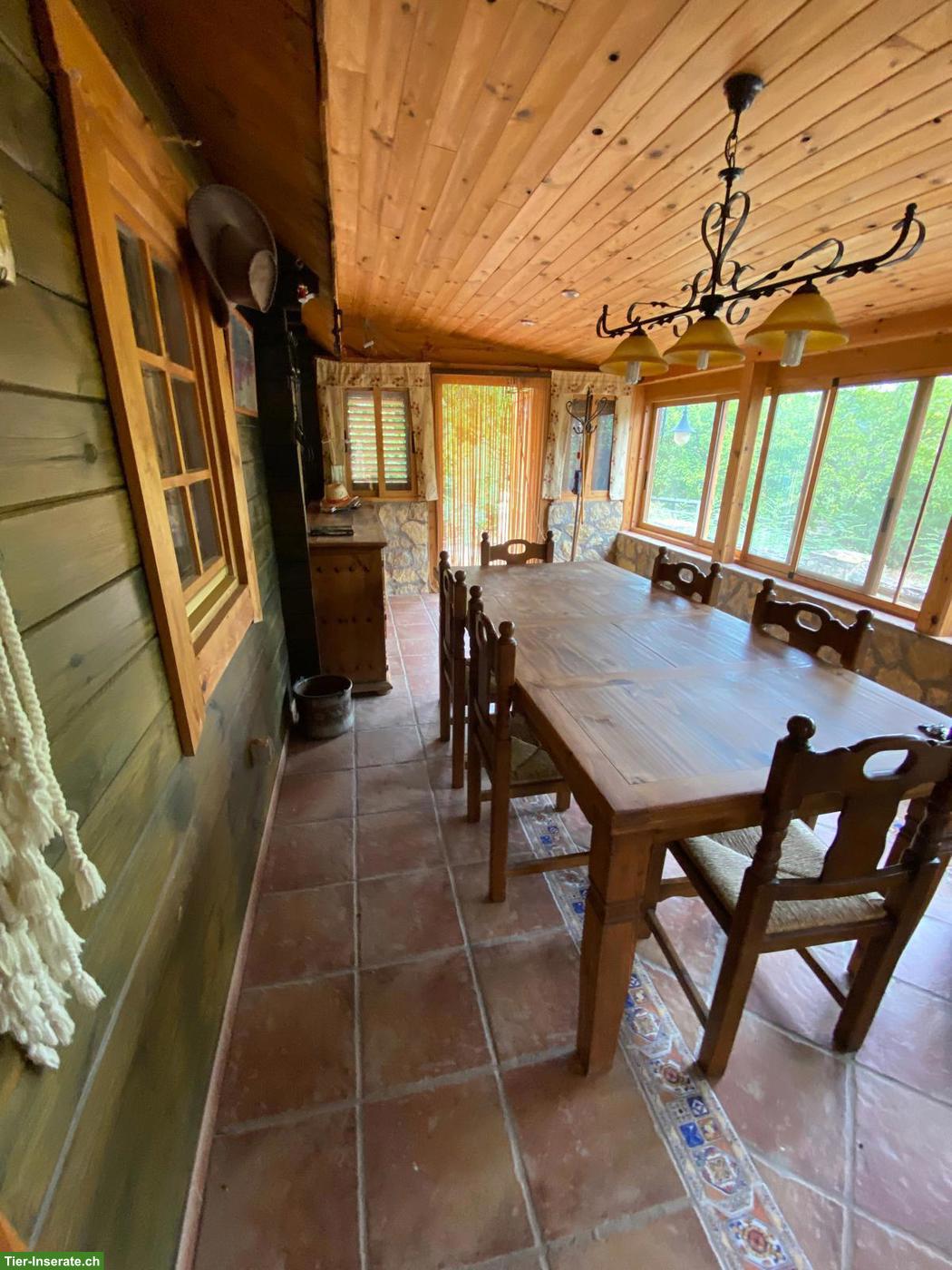 Bild 4: Verkauf: Haus mit 11000 qm Grundstück in Spanien