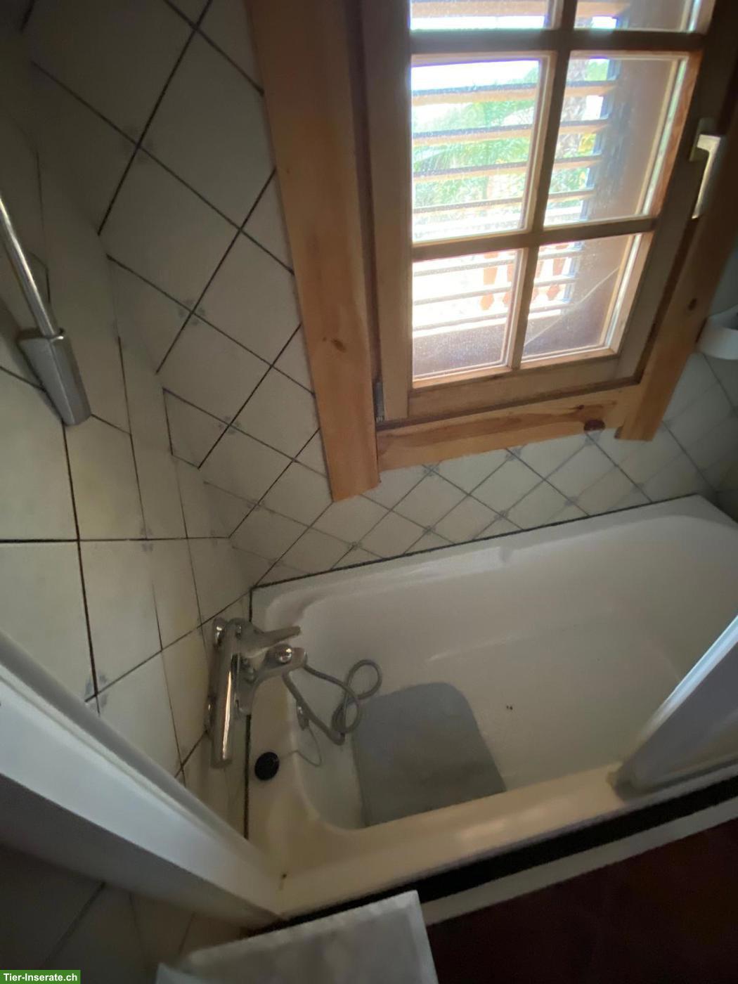 Bild 6: Verkauf: Haus mit 11000 qm Grundstück in Spanien