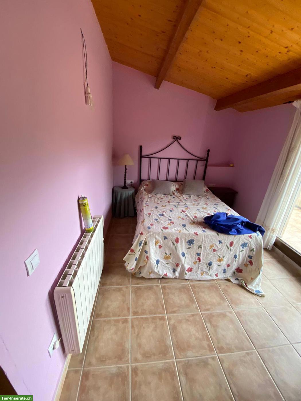 Bild 8: Verkauf: Haus mit 11000 qm Grundstück in Spanien