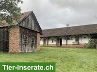 Bild 2: Verkauf: Haus in der Nähe von Grenze Komitat Vas in Ungarn