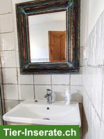 Bild 3: Verkauf: Haus in der Nähe von Grenze Komitat Vas in Ungarn