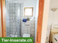 Bild 4: Verkauf: Haus in der Nähe von Grenze Komitat Vas in Ungarn