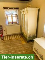 Bild 5: Verkauf: Haus in der Nähe von Grenze Komitat Vas in Ungarn