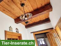 Bild 7: Verkauf: Haus in der Nähe von Grenze Komitat Vas in Ungarn