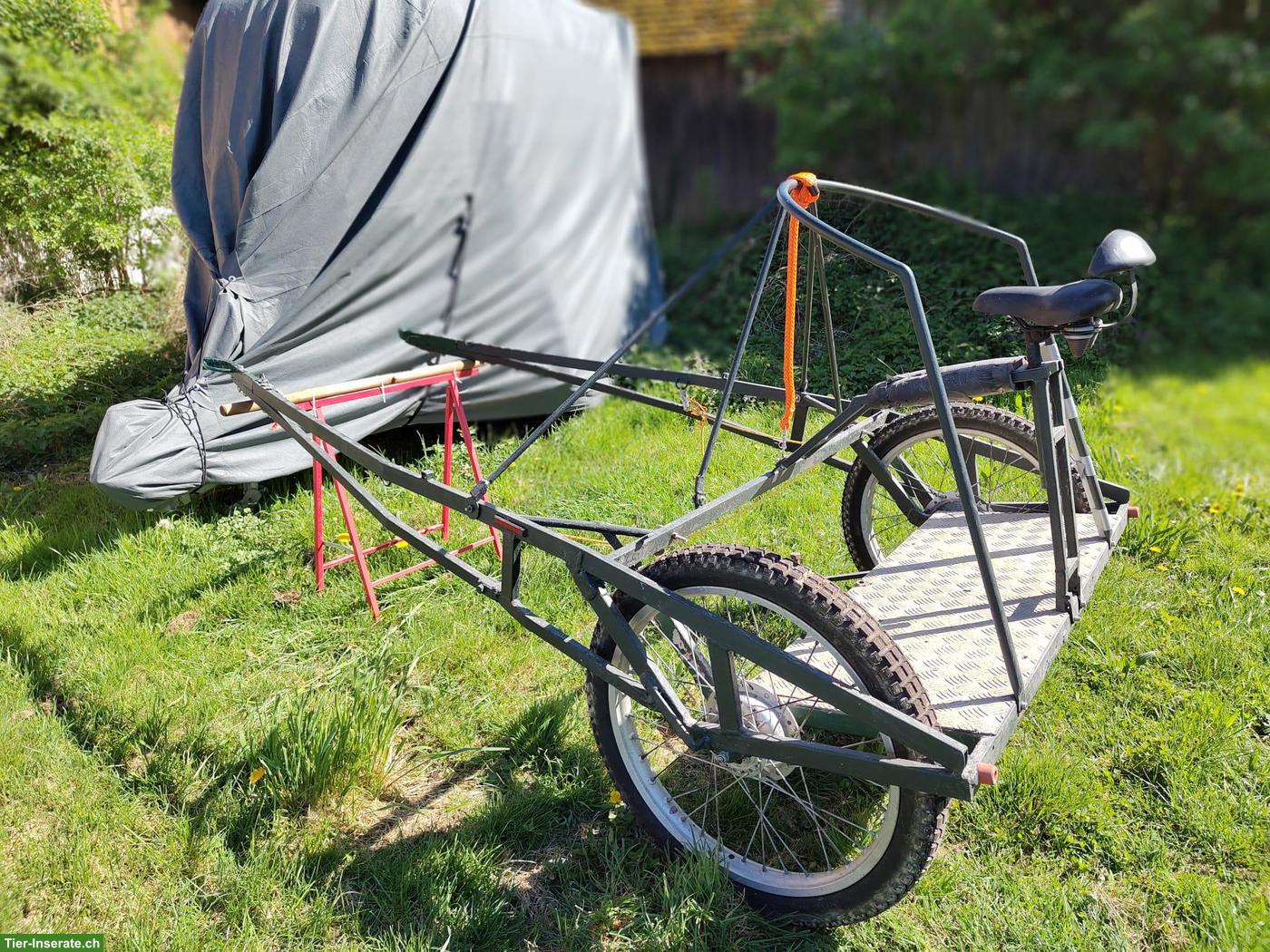 Stabiler Steh-Sulky zu verkaufen