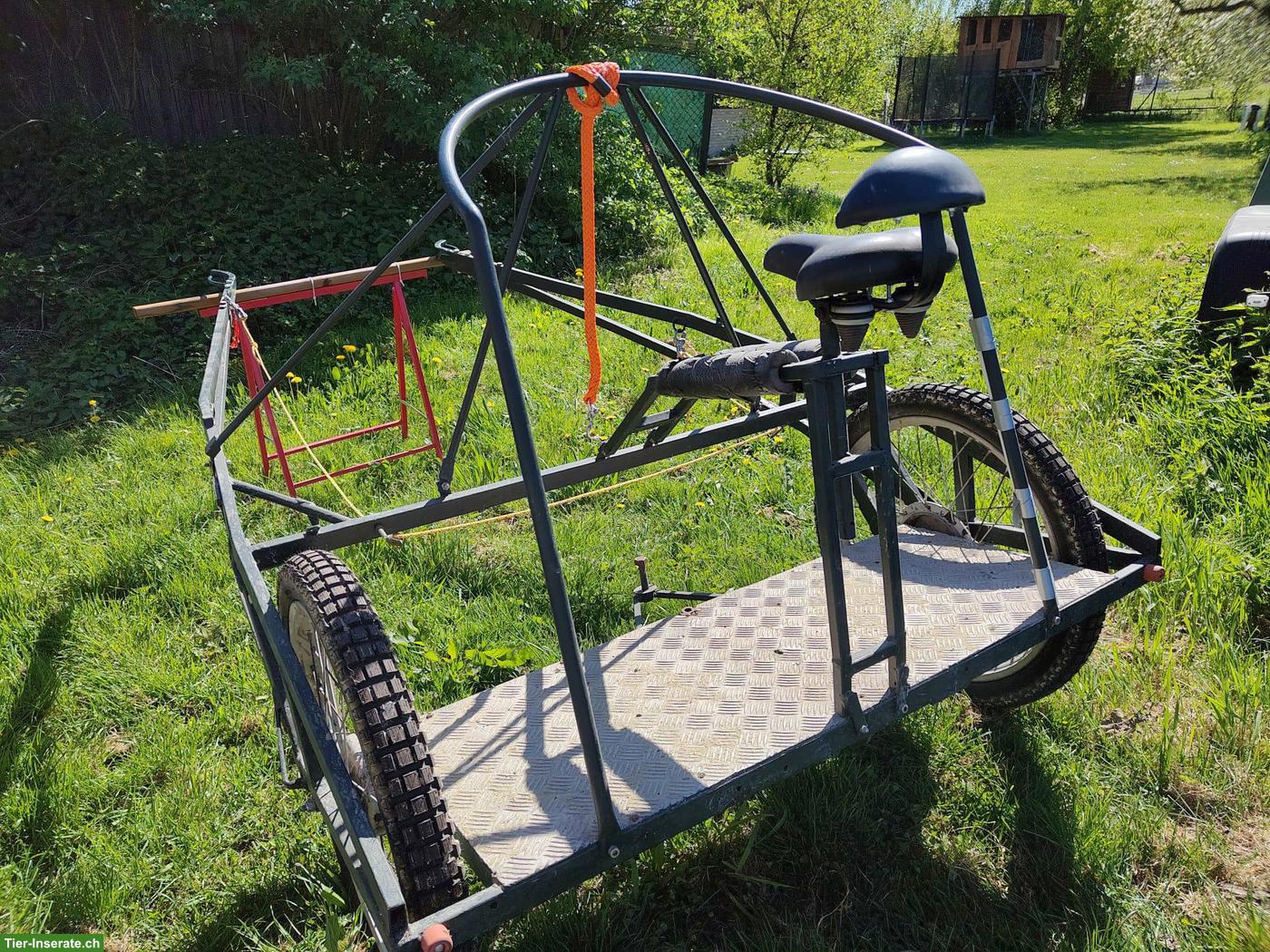 Bild 2: Stabiler Steh-Sulky zu verkaufen