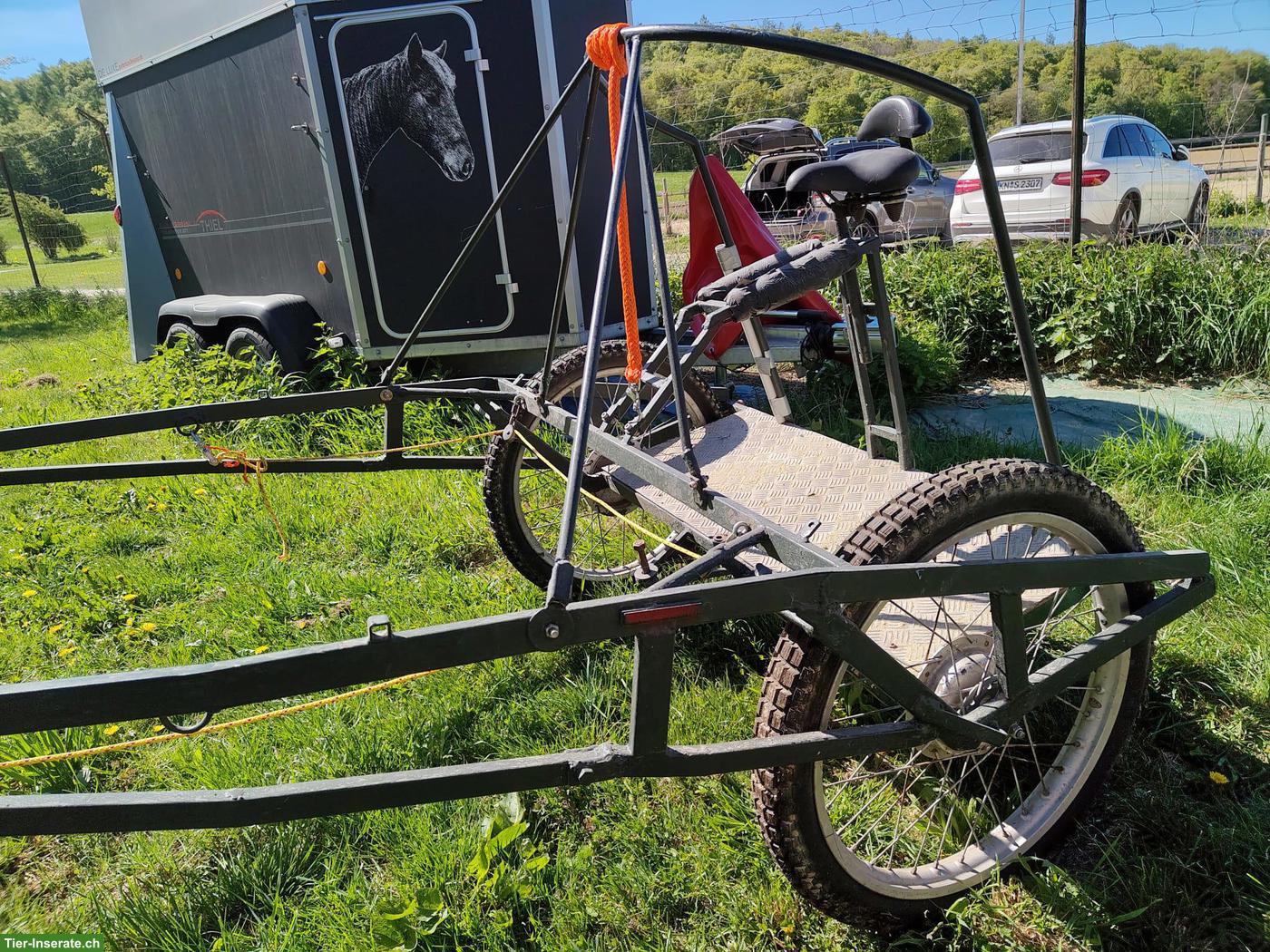 Bild 4: Stabiler Steh-Sulky zu verkaufen