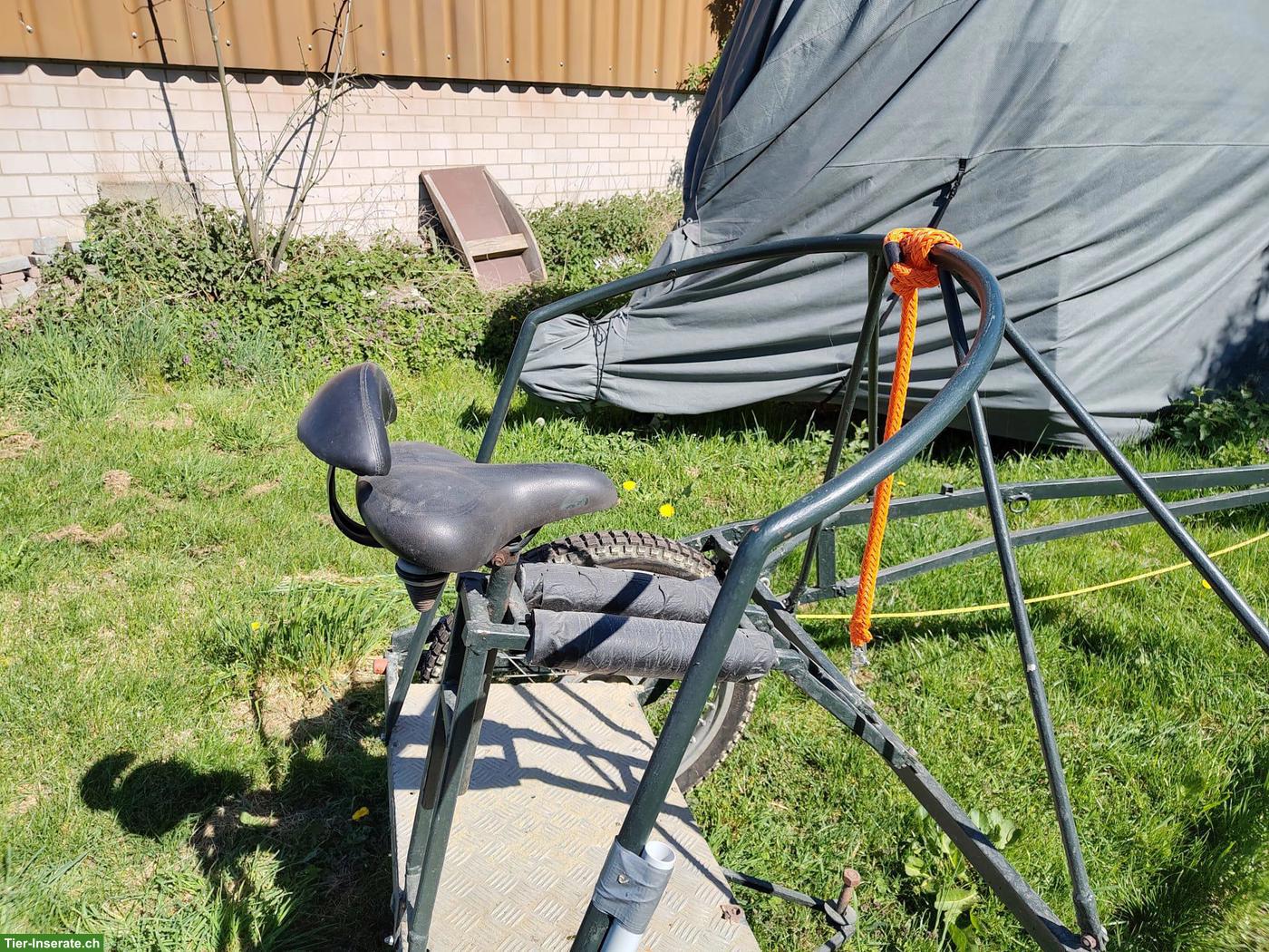 Bild 5: Stabiler Steh-Sulky zu verkaufen