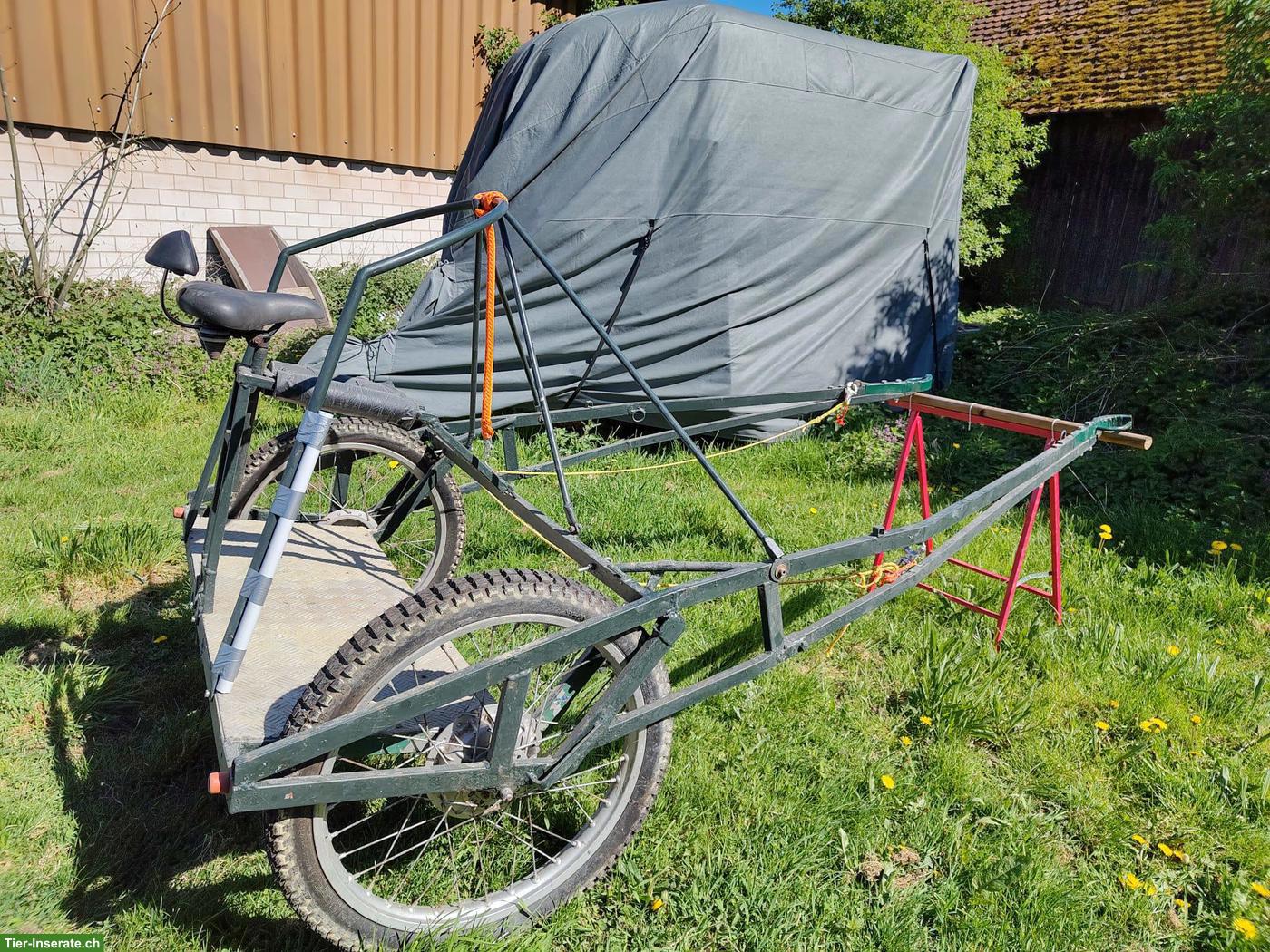 Bild 6: Stabiler Steh-Sulky zu verkaufen