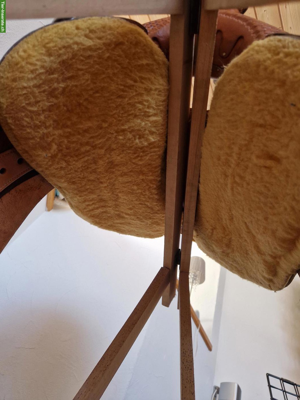 Bild 3: Jugendsattel / Westernsattel zu verkaufen