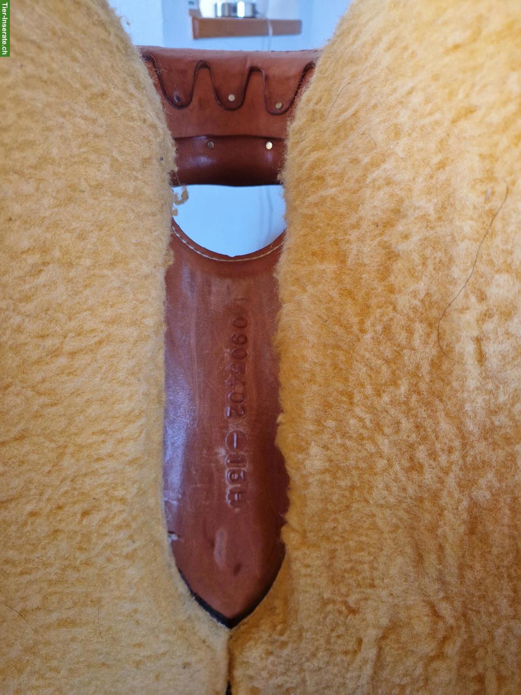 Bild 6: Jugendsattel / Westernsattel zu verkaufen