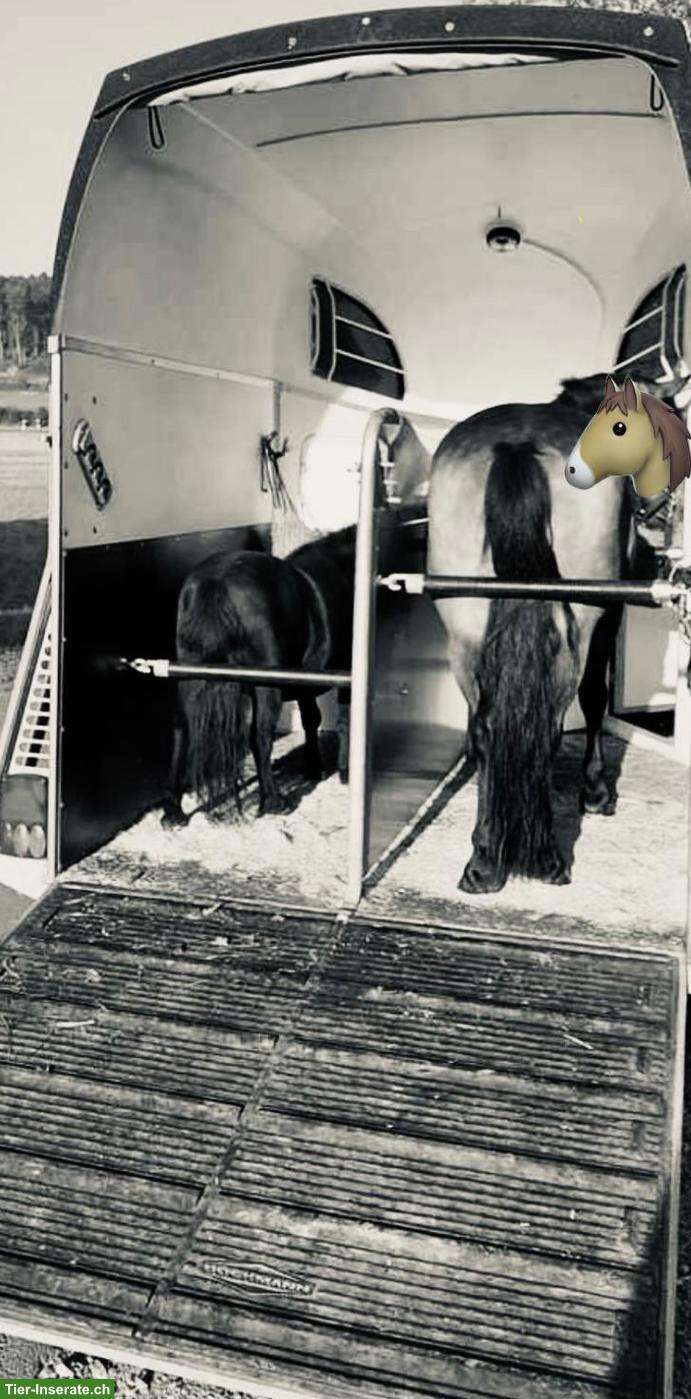 Bild 5: Böckmann Duo Pferdeanhänger, Shettyanhänger, Ponyanhänger