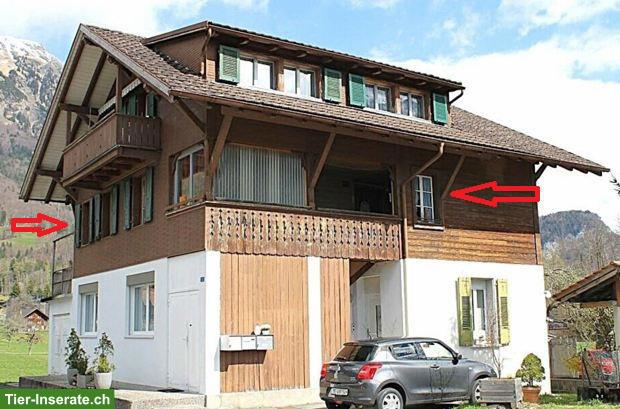 3 Zimmer Wohnung, ca. 70m², 1. Stock günstig mit PPL