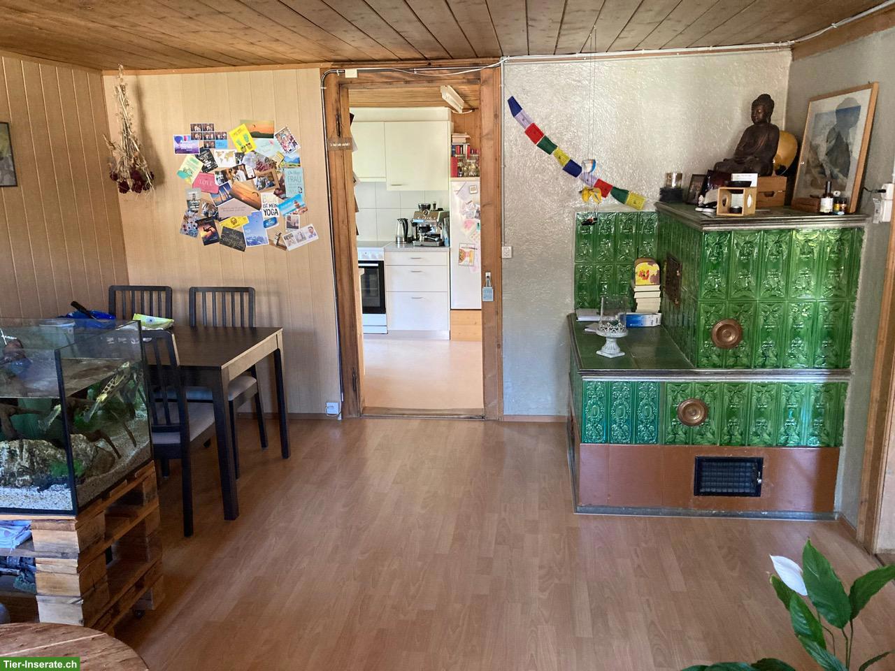 Bild 2: 3 Zimmer Wohnung, ca. 70m², 1. Stock günstig mit PPL