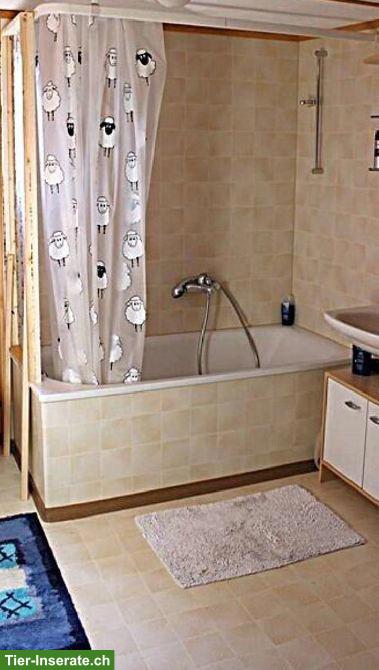 Bild 5: 3 Zimmer Wohnung, ca. 70m², 1. Stock günstig mit PPL