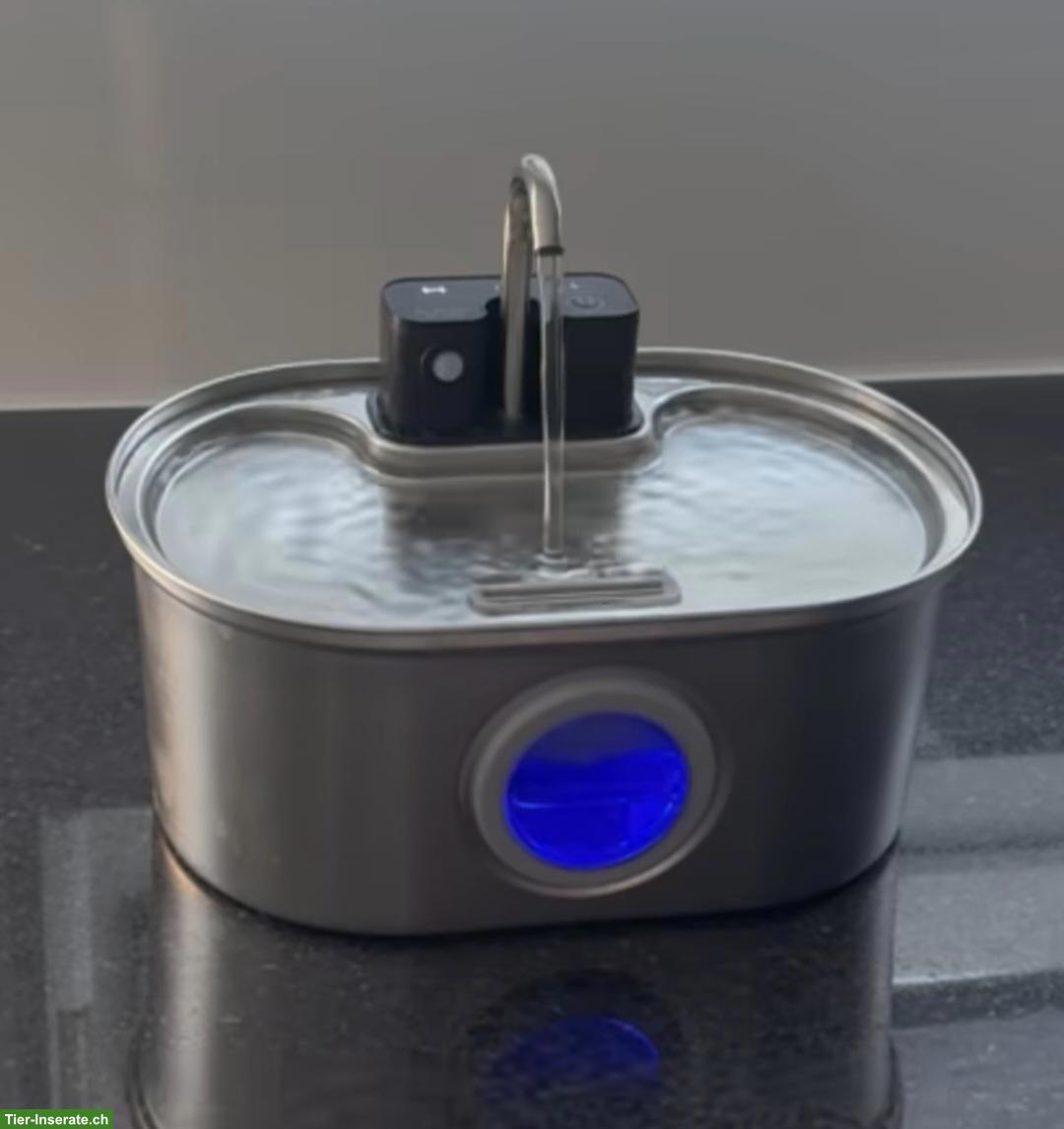 Trinkbrunnen für Katzen & Hunde zu verkaufen